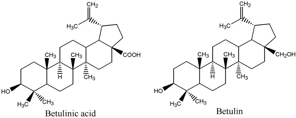 Structure of Betulinic Acid and Betulin